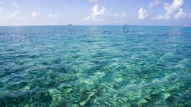 2024上海国际精密陶瓷暨IGBT产业链展览会