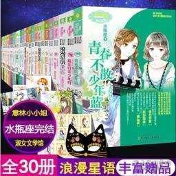 哥特舰队